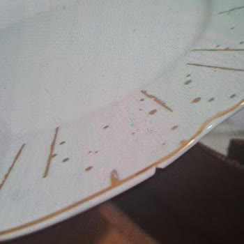 Lively İki Yıldır Çözülemeyen Yemek Takımı Sorunu