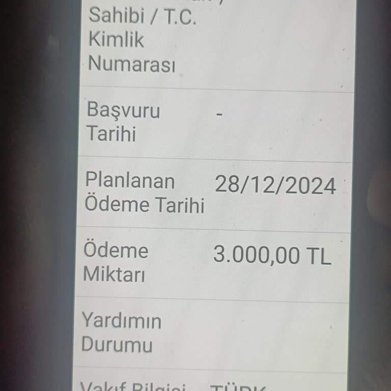 Türk Kızılay Yardımı E-Devlet'te Görünüyor Ama Çekilemiyor!