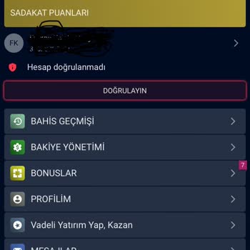 Hesap Doğrulama Sorunu Ve Güvenilirlik Endişesi