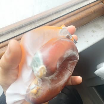 Son Kullanma Tarihi Geçmemiş Sucuk Küflenmiş