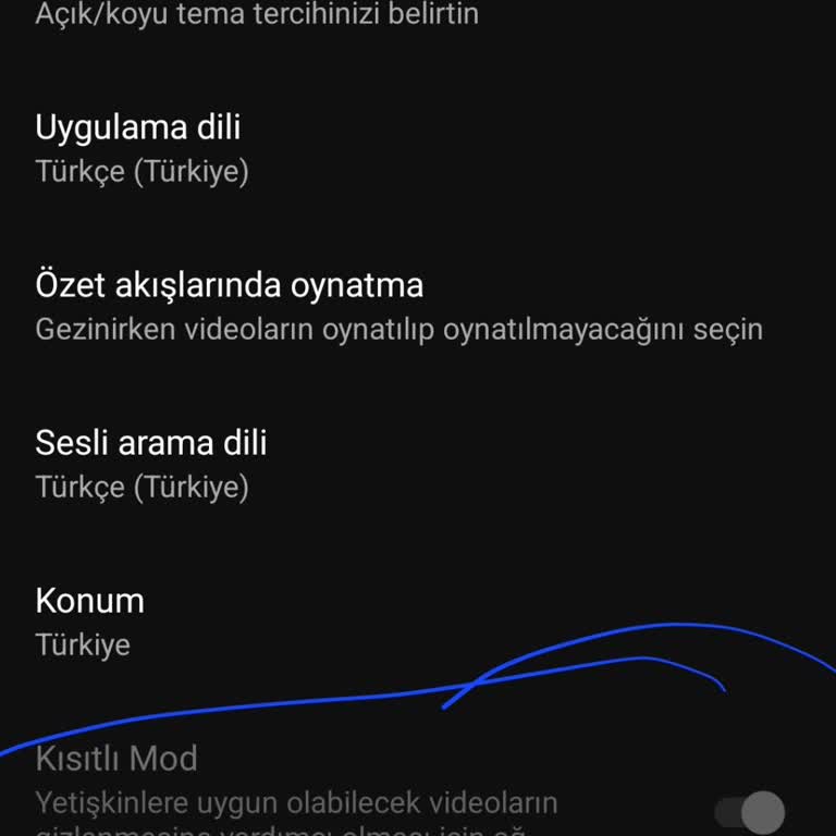 Youtube.com Kısıtlı Mod Sorunu