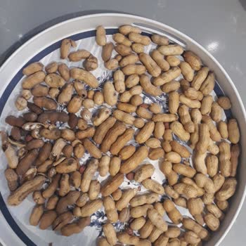 Edirne Şehir Gönüllüleri Vakfı Tic. İşletmesi Edirne Yöresel Hayal Kırıklığı Yaşattı