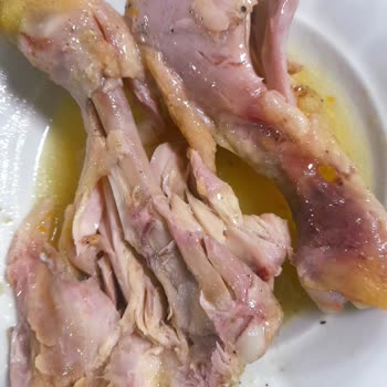 KYK Yurdunda Yetersiz Yemek Hizmeti: Kanlı Tavuklar Ve İlgisiz Personel