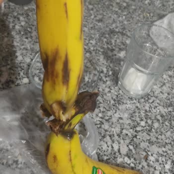 Bozuk Ürünlerle Gelen Hayal Kırıklığı