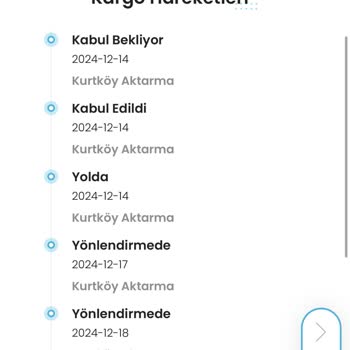 Gratis Online Alışverişte Kargo Sorunu Ve Yetersiz Çözüm