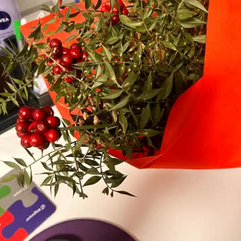 Çiçek Sepeti'nden Gelen Çiçekler Hayal Kırıklığı Yarattı