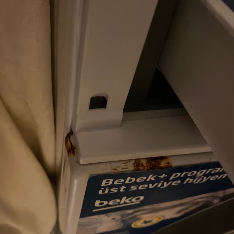 Beko Çamaşır Makinesi Paslanma Sorunu: Hayal Kırıklığı