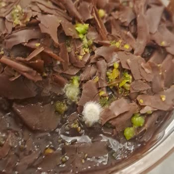 Gemici Unlu Gıda'dan Alınan Tatlı Küflü!