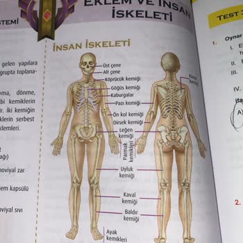 Yanıltıcı Kitap İçeriği Ve Yetersiz Video Çözümleri