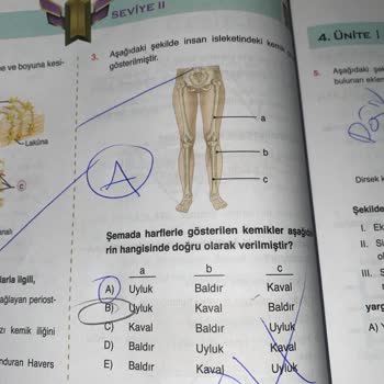 Yanıltıcı Kitap İçeriği Ve Yetersiz Video Çözümleri