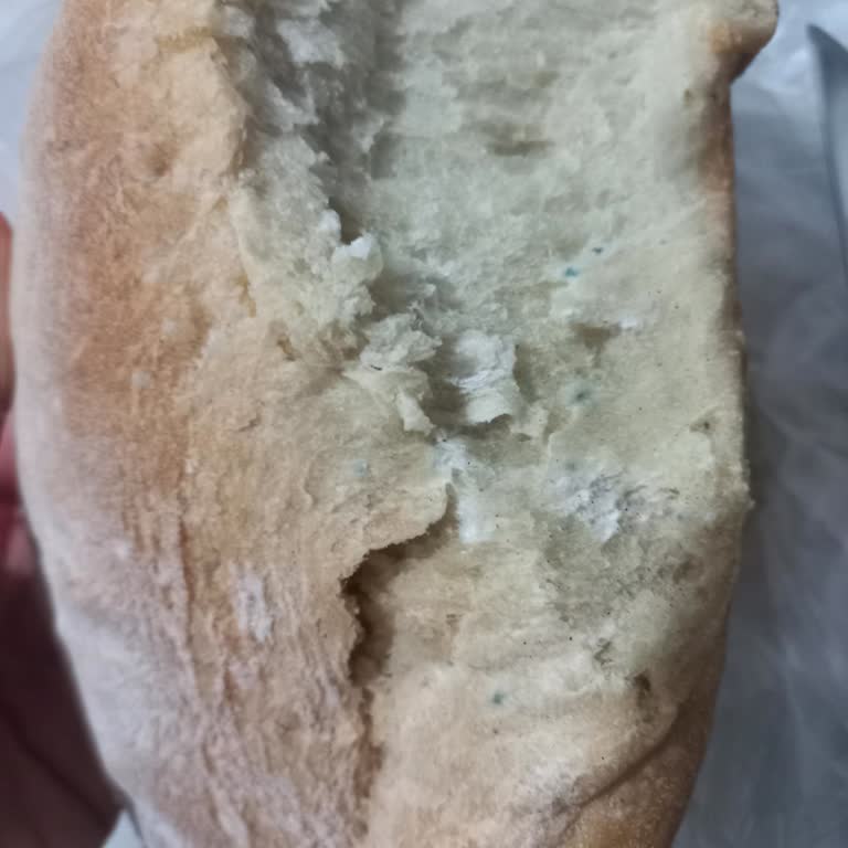 Küflü Ekmek Ve Duyarsız Yönetim: 6N Marketleri Uyarıyoruz!