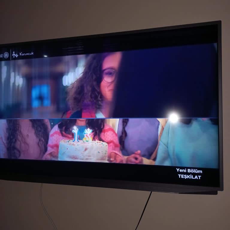 Beko TV'nin Garanti Sonrası Sorunları