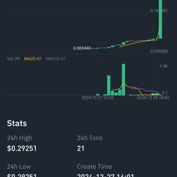 Binance Web3 Transferi Sonrası Teslanet Coin Sorunu