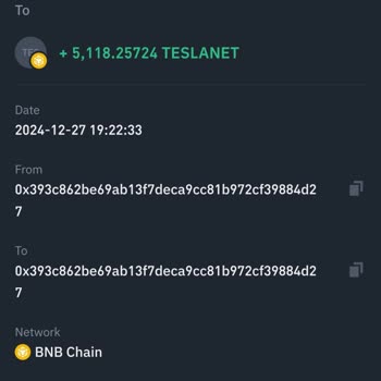 Binance Web3 Transferi Sonrası Teslanet Coin Sorunu