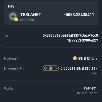 Binance Web3 Transferi Sonrası Teslanet Coin Sorunu