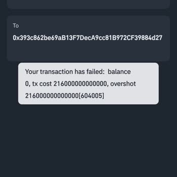 Binance Web3 Transferi Sonrası Teslanet Coin Sorunu