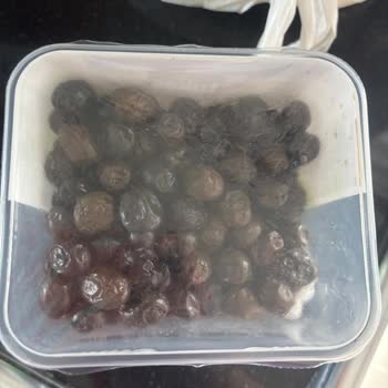 Tukaş Zeytinlerinin Beklenmedik Küflenmesi