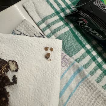 Eti Karam Gurme Çikolatasında Diş Kırma Tehlikesi