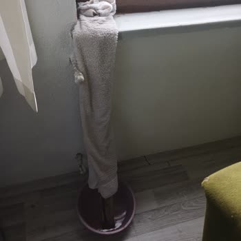 Adopen Pencereler Su Sızdırıyor Ve Bayi İlgisizliği