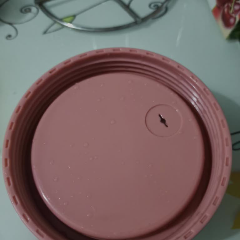 Eksik Parça Nedeniyle Kullanılamayan Termos Saklama Kabı