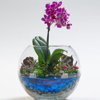 Yanlış Ürün Teslimatı Ve Çözüm Eksikliği