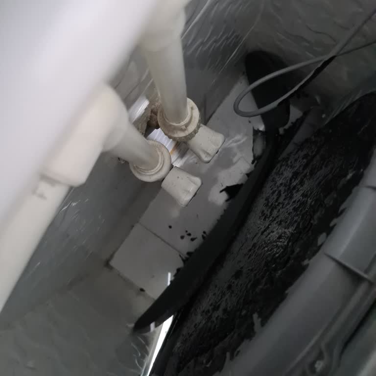 Samsung Kurutma Makinesiyle Yaşanan Sorunlar