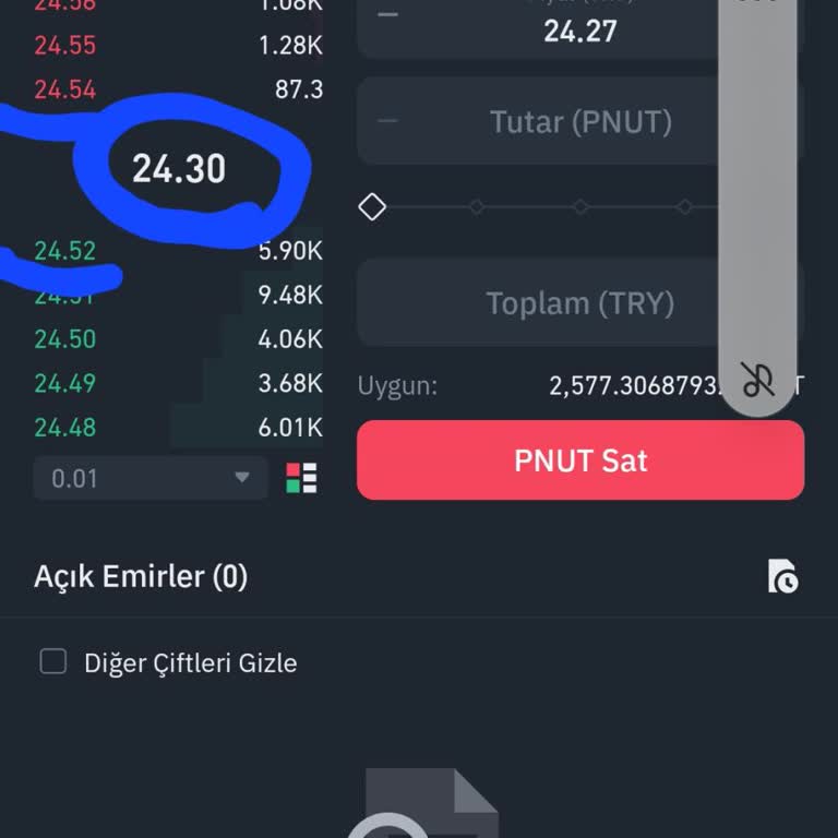 Binance TR Uygulamasında Donma Ve Para Kaybı Sorunu