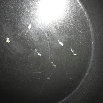 İlk Kullanımda Hayal Kırıklığı: Tencere Seti Sorunu