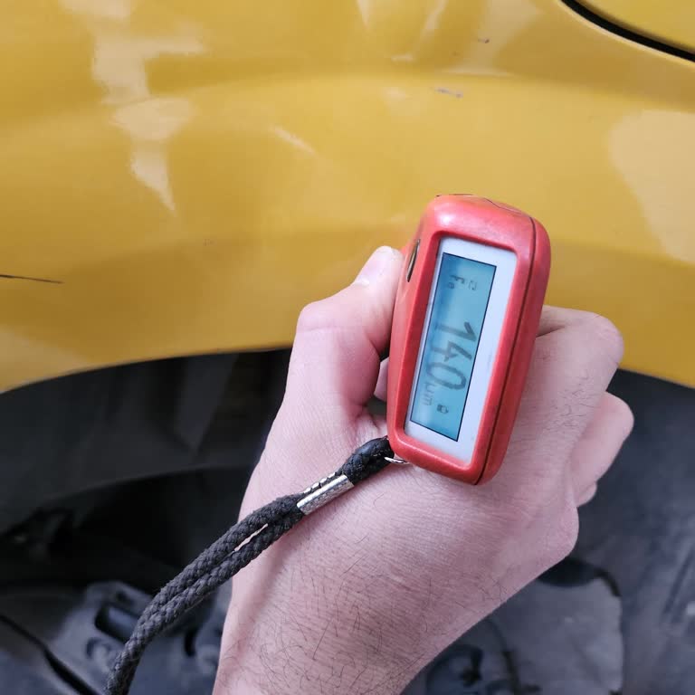 Peugeot 208: Boya Sorunu Ve Turbo Arızası