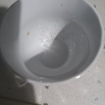 Altus Bulaşık Makinesi Hayal Kırıklığı