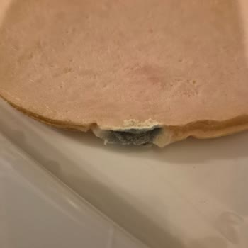 Küflü Hindi Füme Ve İletişimsizlik Sorunu