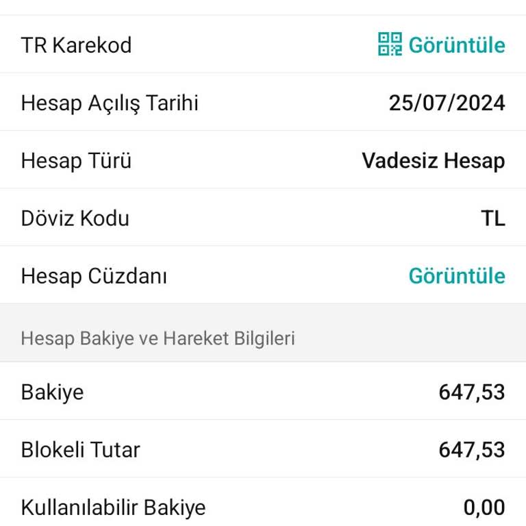 Blokeli Hesap Sorunu: Kendi Paramla Mağdur Oluyorum