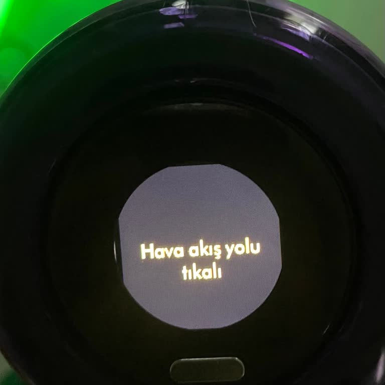 Dyson V12: Beklentileri Karşılamayan Performans Sorunu