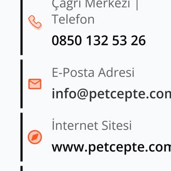 Petcepte İle İletişim Kuramıyorum