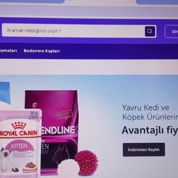 Petcepte İle İletişim Kuramıyorum