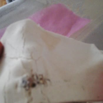 Oli Center Superfresh Milföy Hamurunda Böcek Şoku