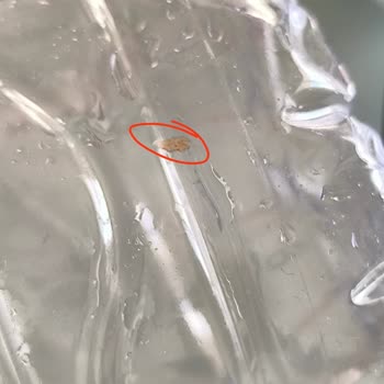 Su Kalitesi Ve Halk Sağlığı Tehdidi