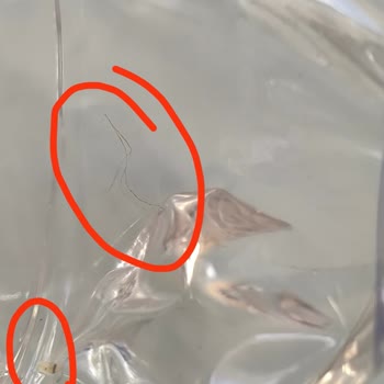 Su Kalitesi Ve Halk Sağlığı Tehdidi