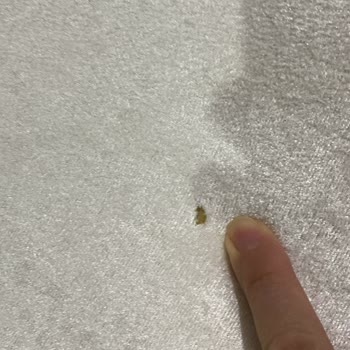 Halı Yıkamada Cam Parçası Ve Yanlış Ölçüm Sorunu