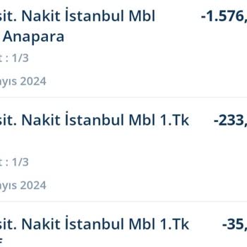 Denizbank Kredi Kartı Taksitlendirme Sorunu