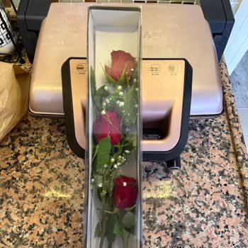 Çiçek Siparişinde Hayal Kırıklığı