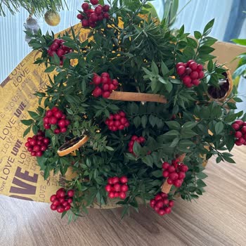 Çiçek Siparişinde Hayal Kırıklığı