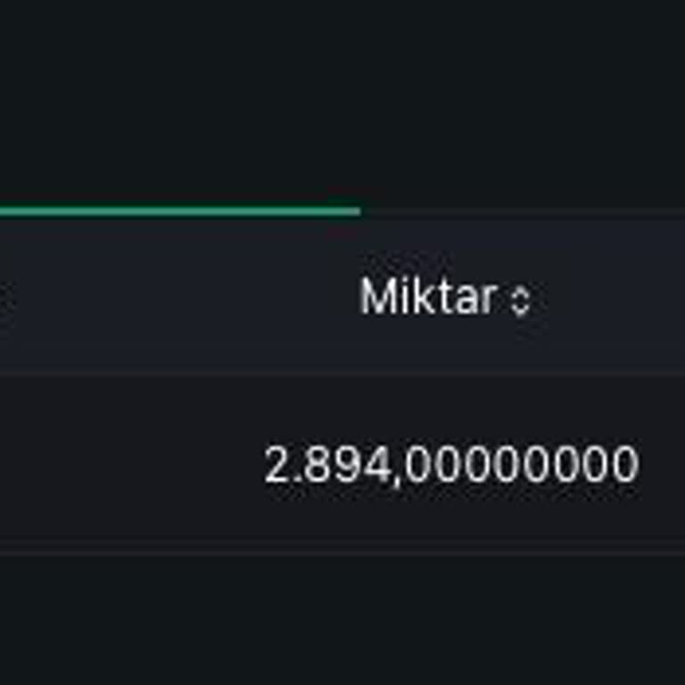 USDT Çekim İşlemi Sorunu Ve Yetersiz Destek
