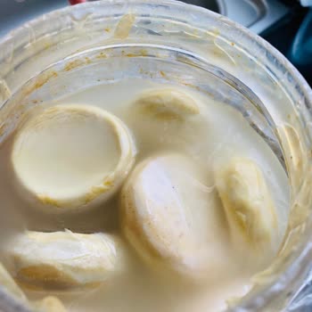 Enginar Seferi Şikayeti