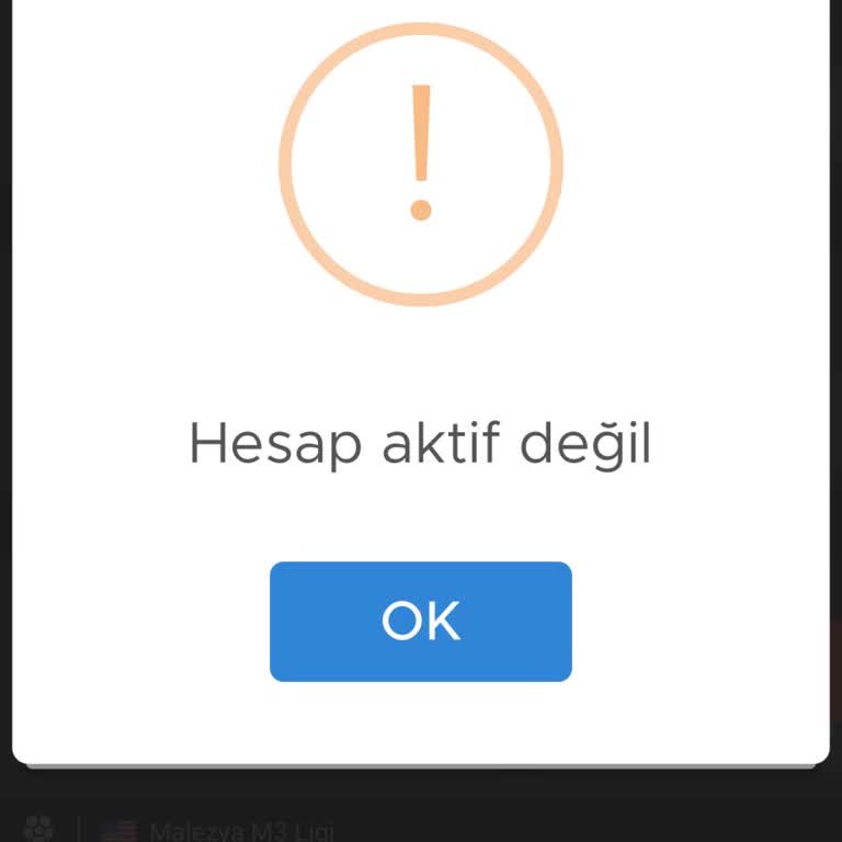 Oyun Hesabına Erişim Sorunu Ve Para Kaybı