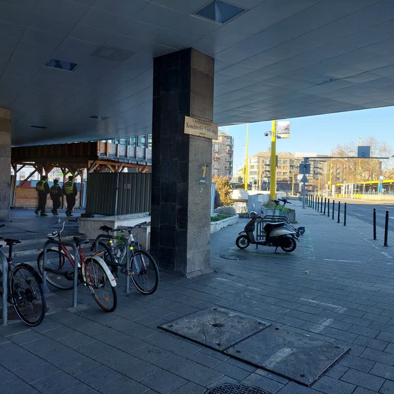 Flibco Bus Arrived 20 Minutes Late