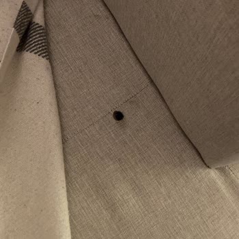 Airbnb Denies Compensation for Multiple Cigarette Burns on My Couch