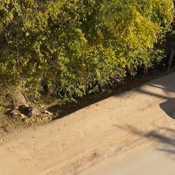 Antalya Hurma Mahallesi'nde Yol Sorunu