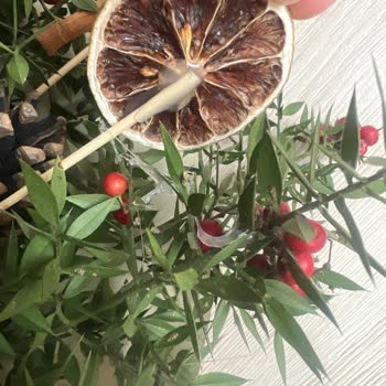 Çiçek Sepeti'nde Hayal Kırıklığı: Sahte Kokina Buketi