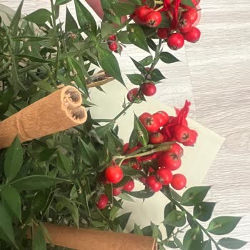 Çiçek Sepeti'nde Hayal Kırıklığı: Sahte Kokina Buketi